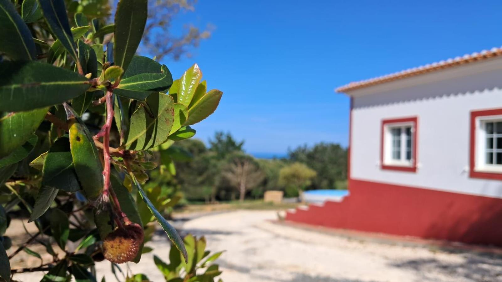 Hotel Monte Da Silveira São Teotónio Exterior foto